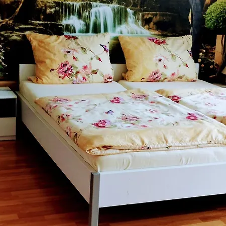 Apartman Am Birkenwaeldchen By Interhome Görlitz